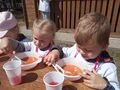 IMG 20220614 1044351