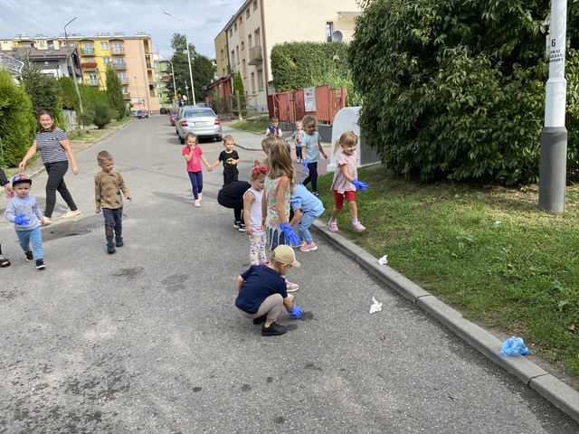 IMG 3081