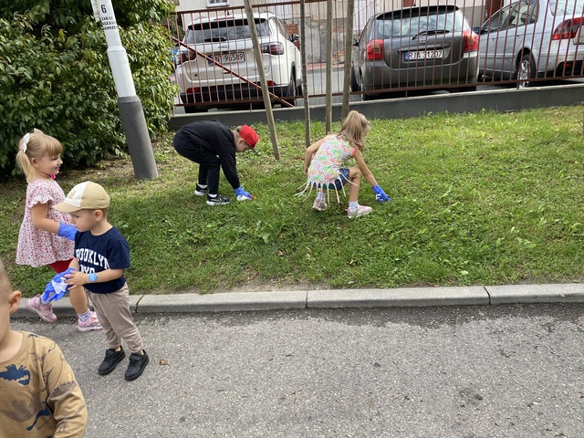 IMG 3083