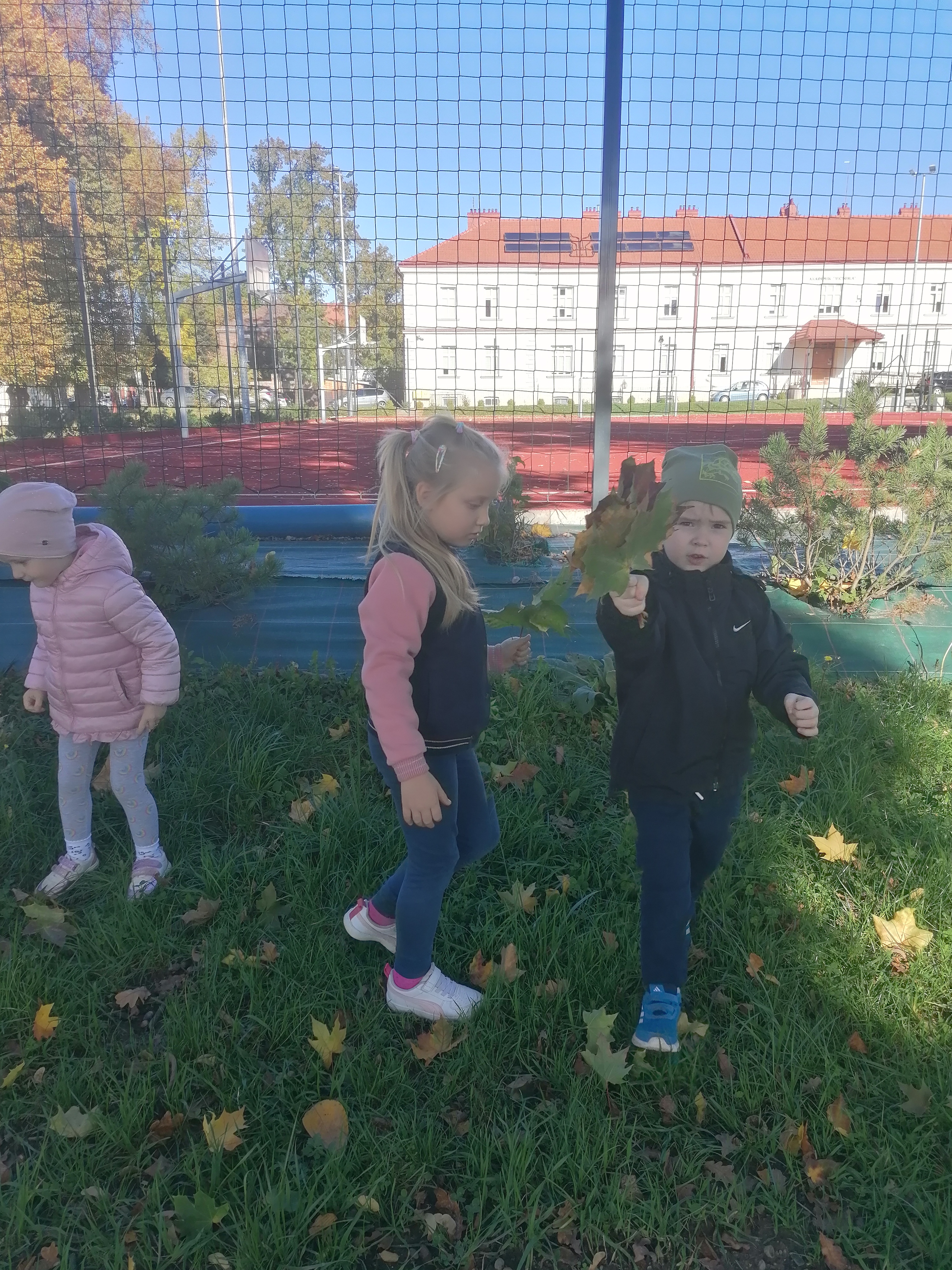 IMG 20221006 100738