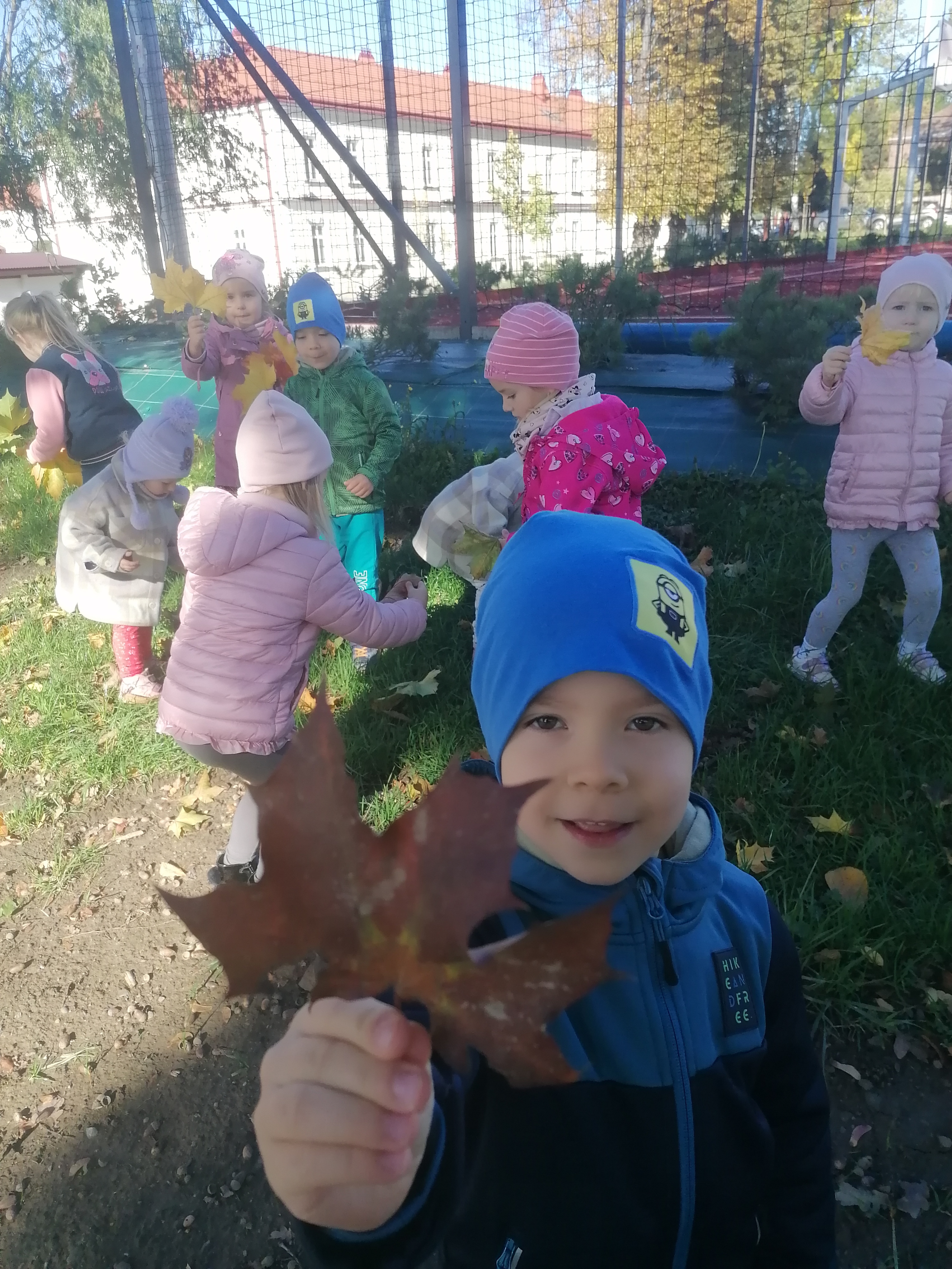 IMG 20221006 100738