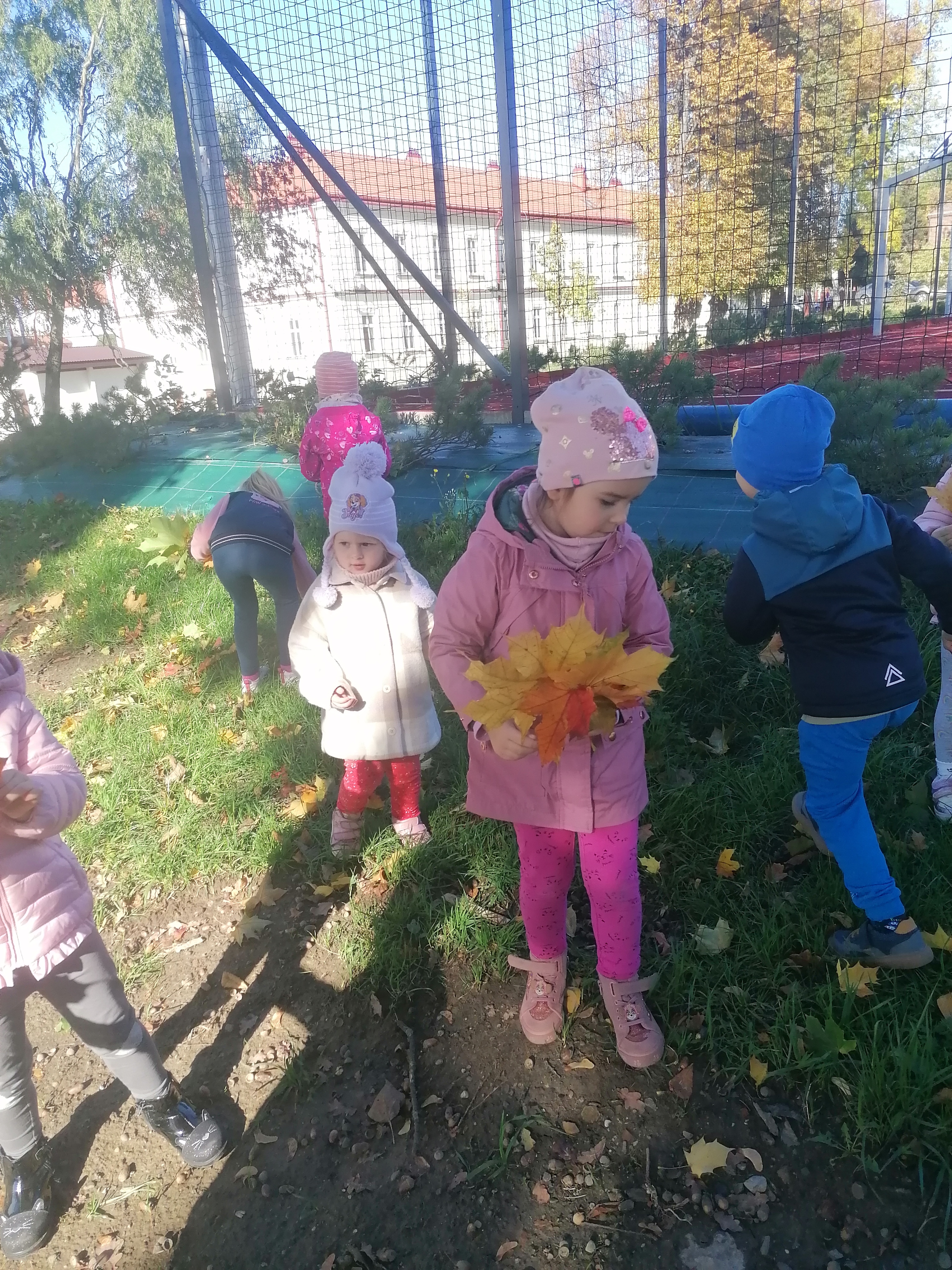 IMG 20221006 100738