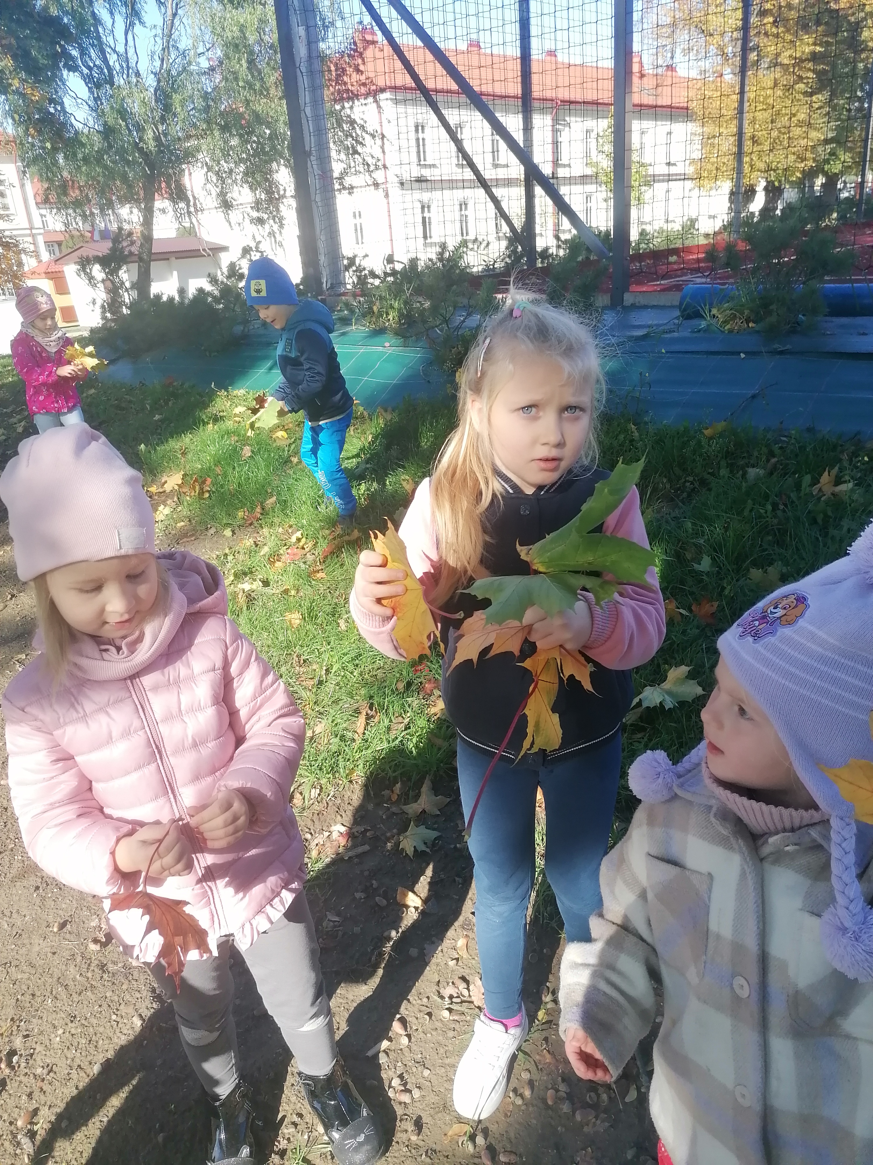 IMG 20221006 100738