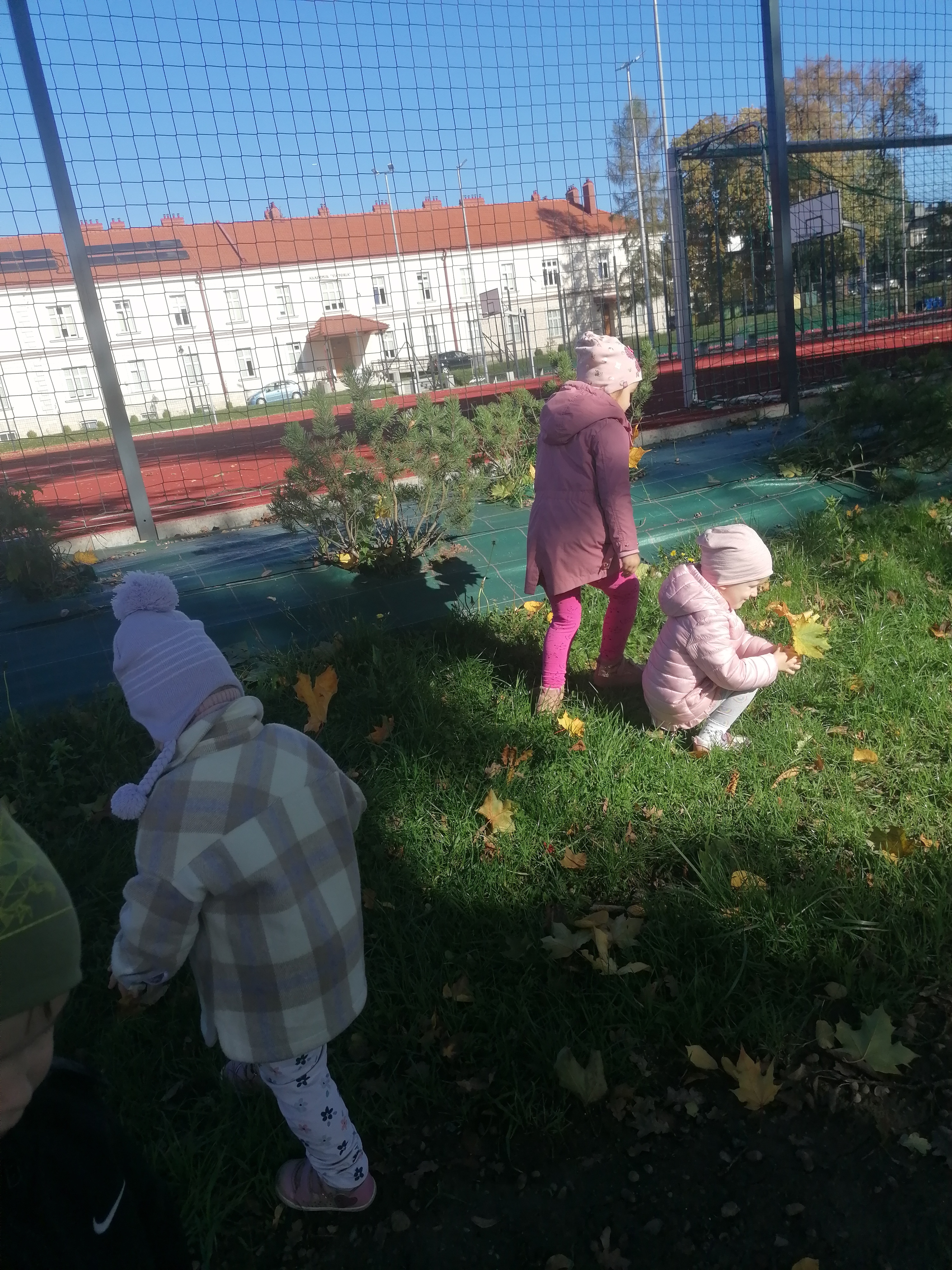 IMG 20221006 100738