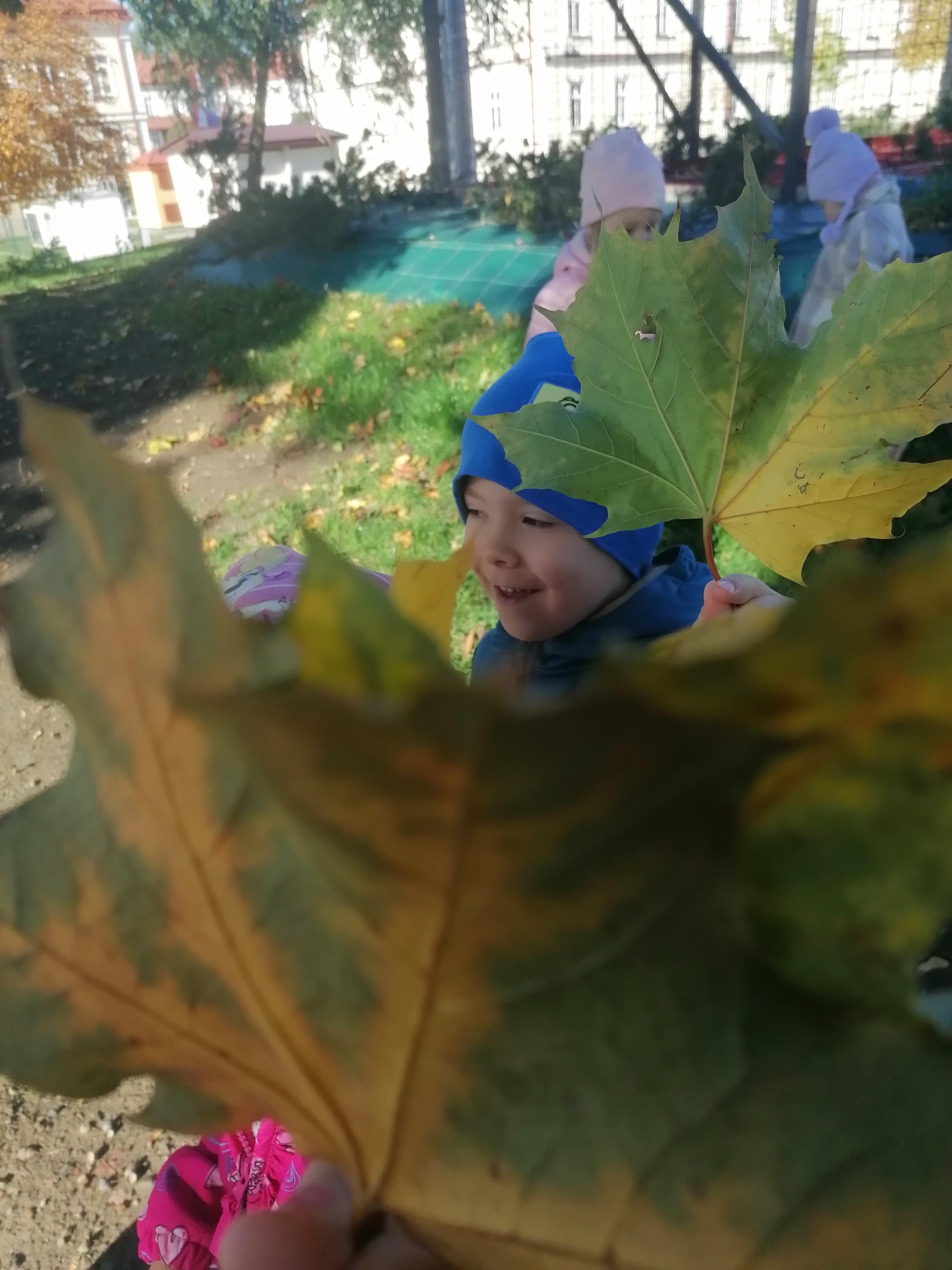 IMG 20221006 100738