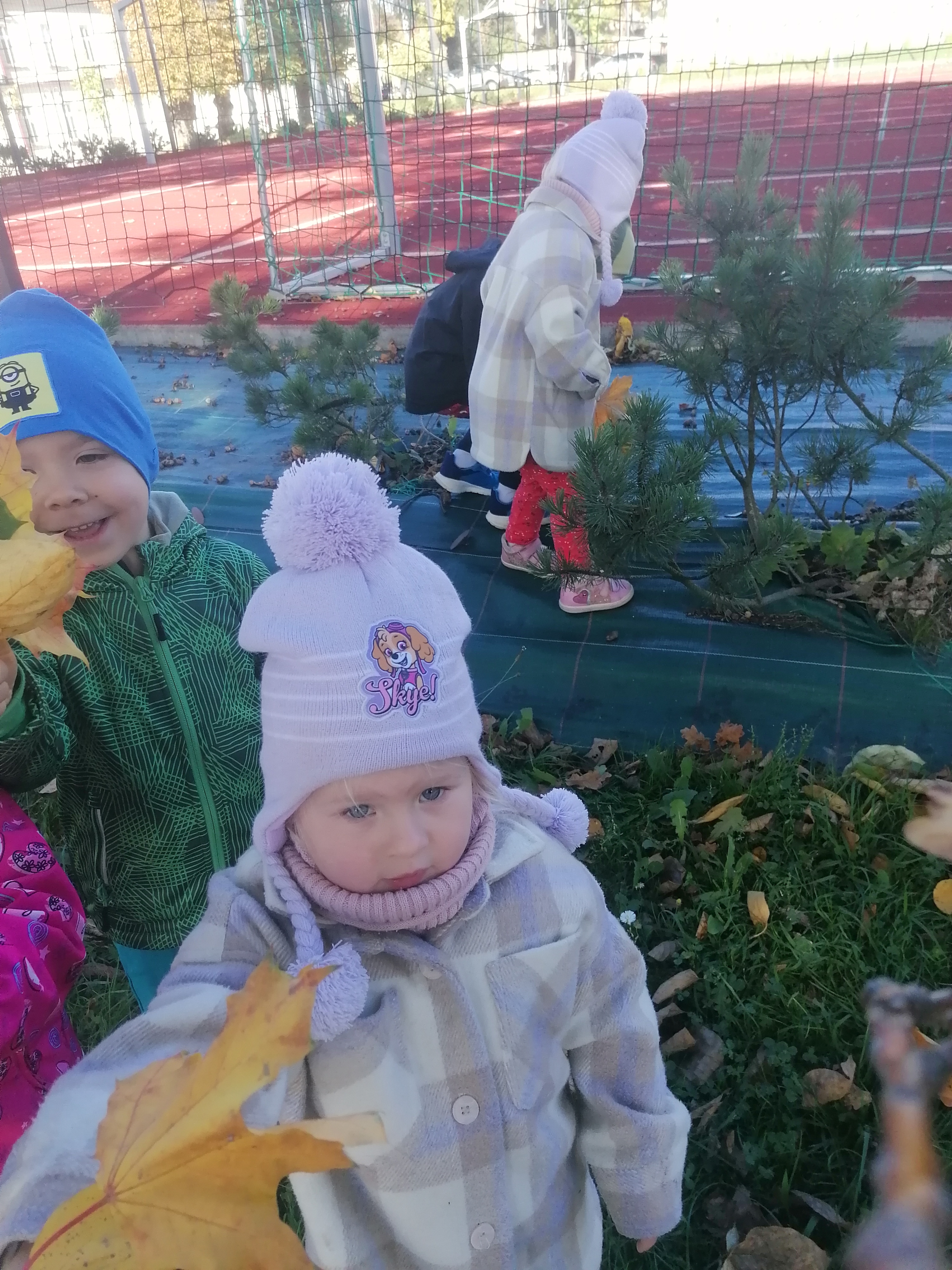 IMG 20221006 100738