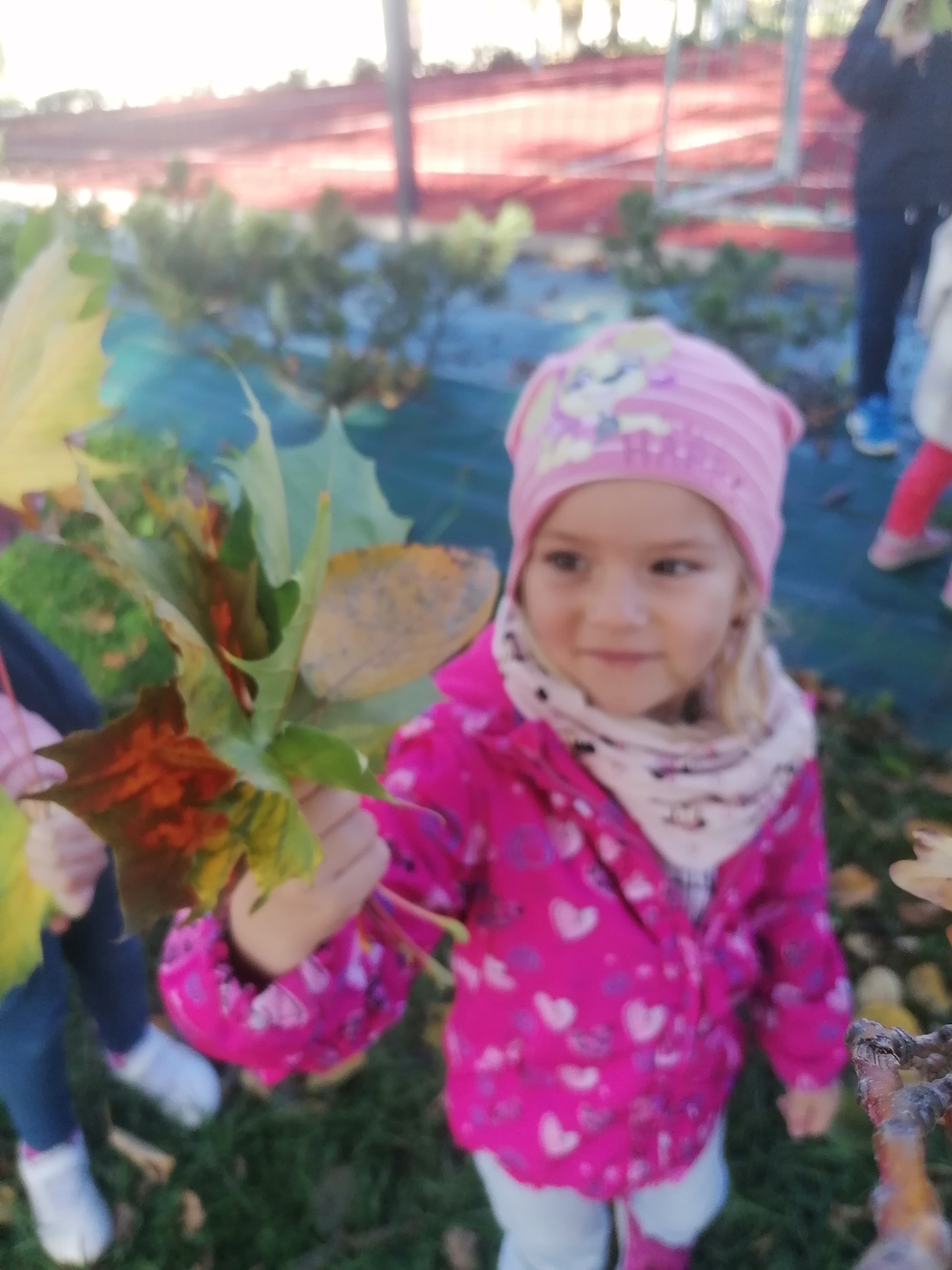 IMG 20221006 100738