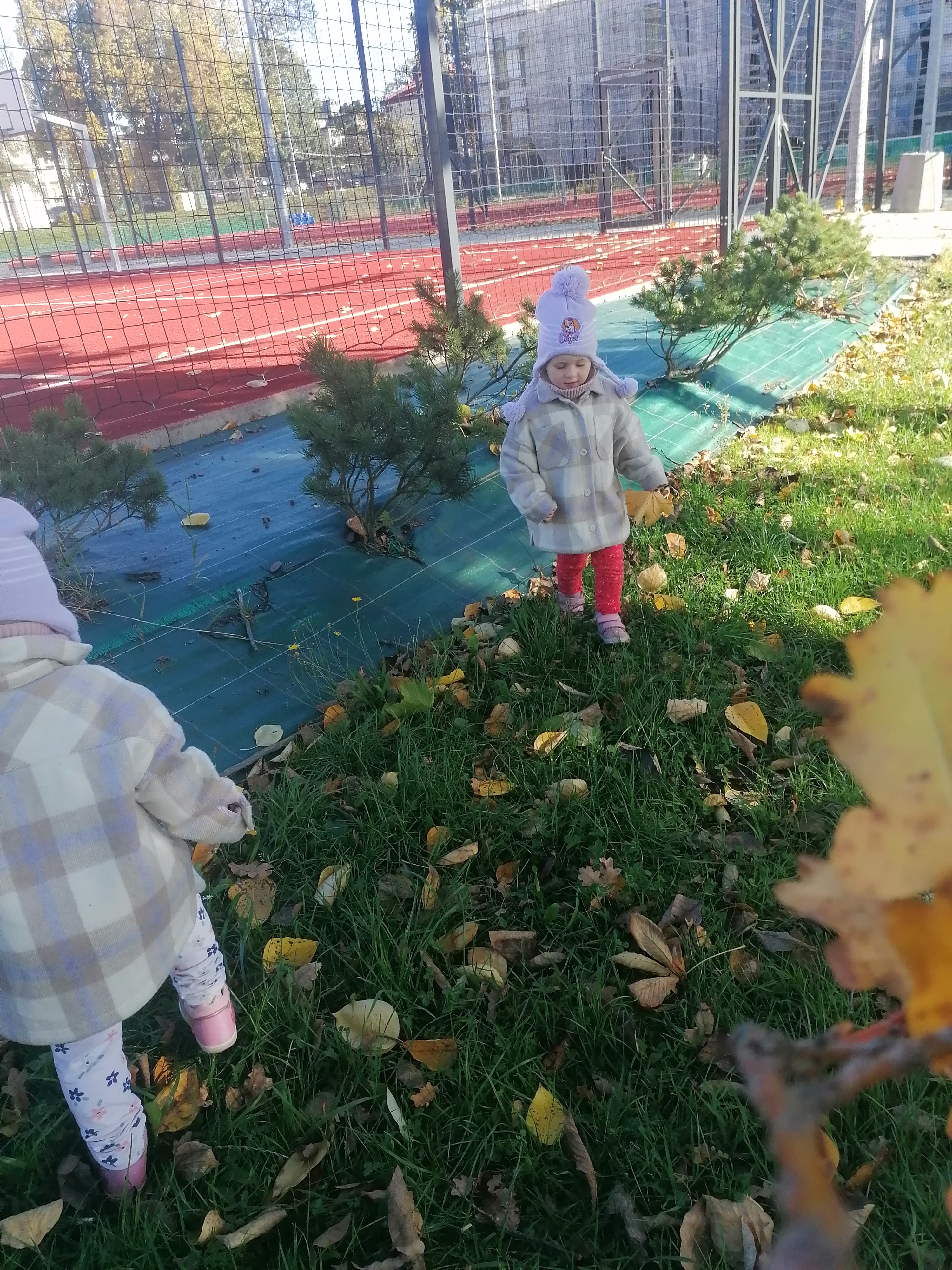 IMG 20221006 100738
