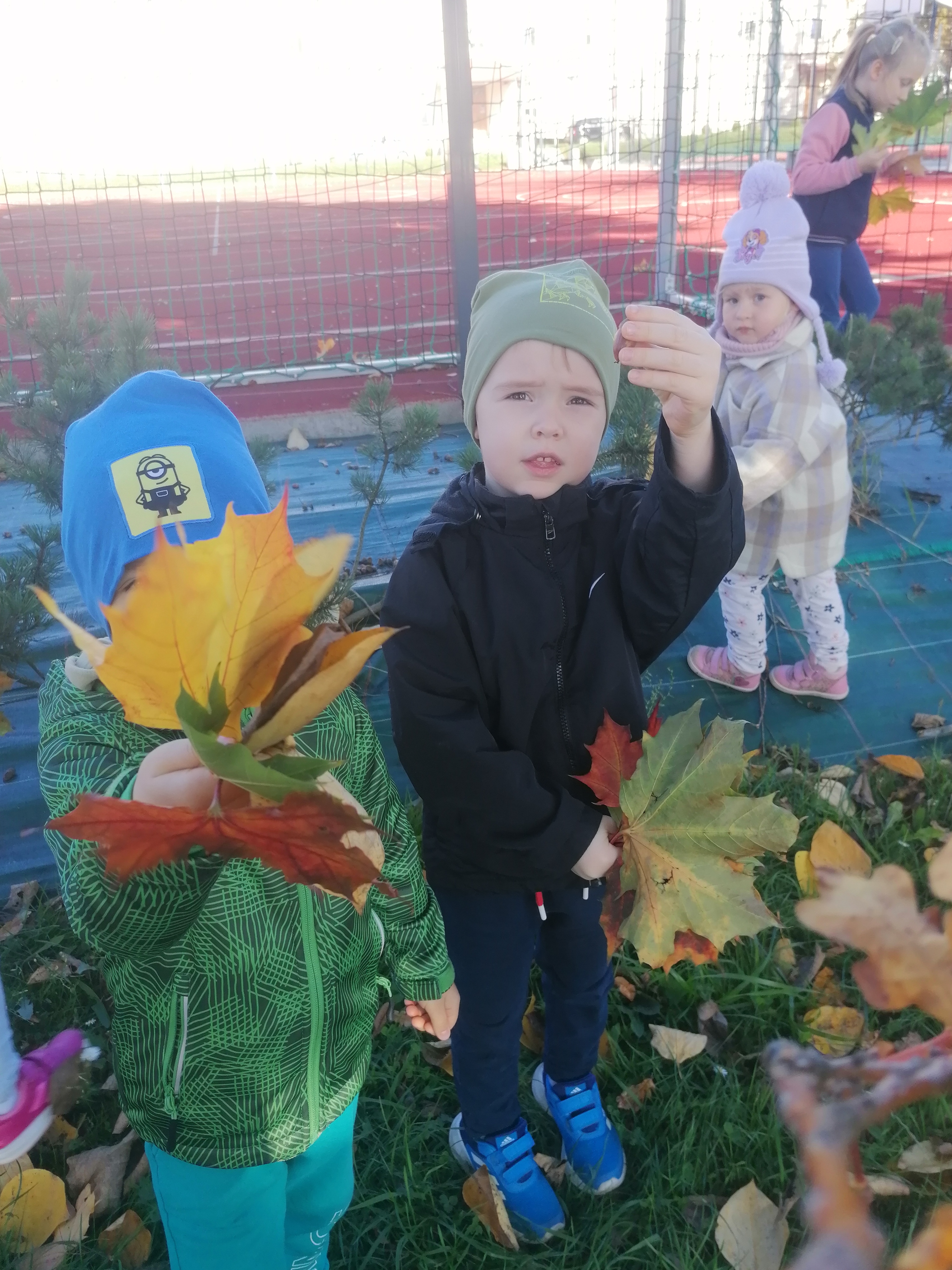 IMG 20221006 100738