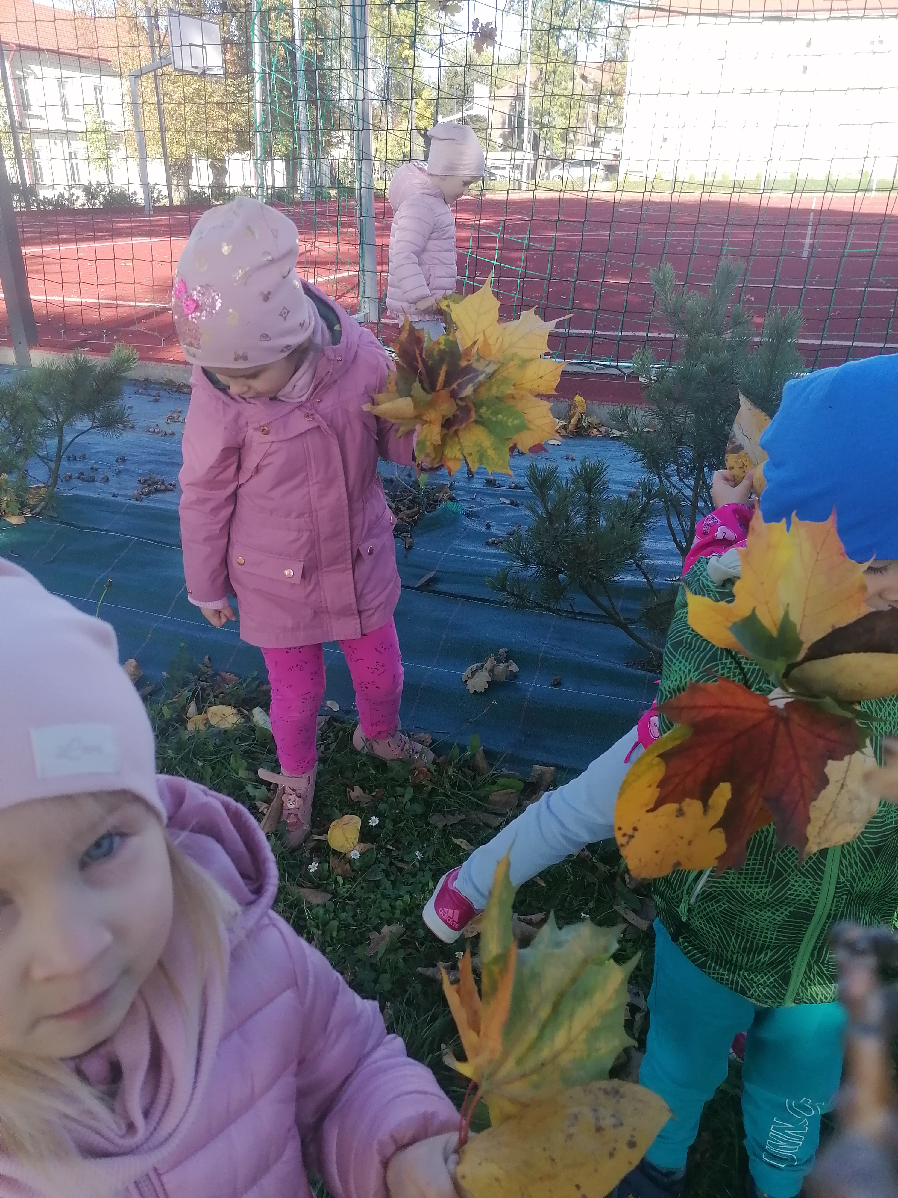 IMG 20221006 100738