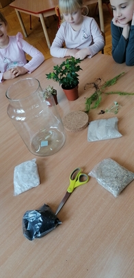 projekt ogród