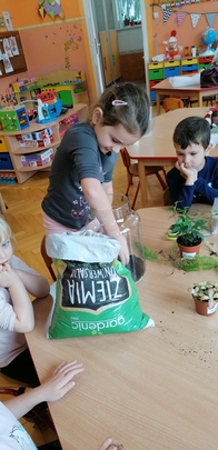 projekt ogród