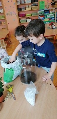 projekt ogród